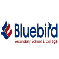 Bluebird College