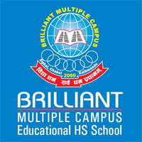 Master Of Business Studies (mbs) At Brilliant Multiple Campus 