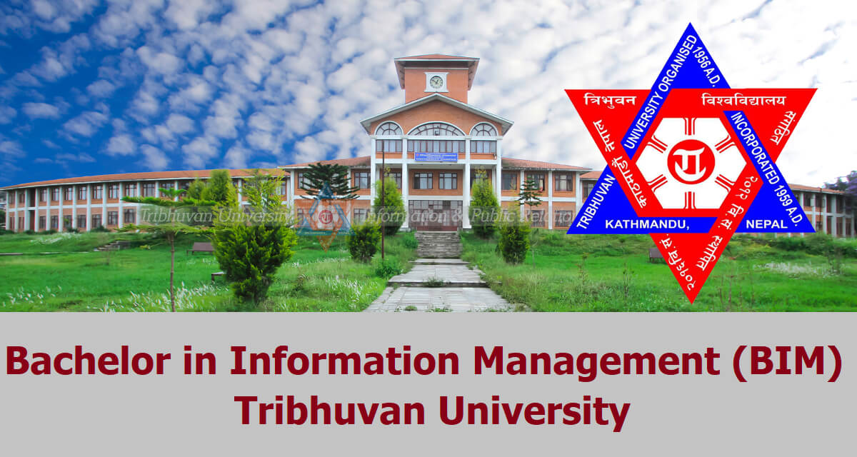 Bachelor in Information Management BIM at Tribhuvan University TU