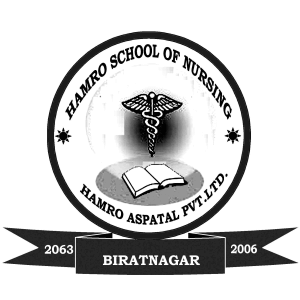 hamro school of nursing Logo