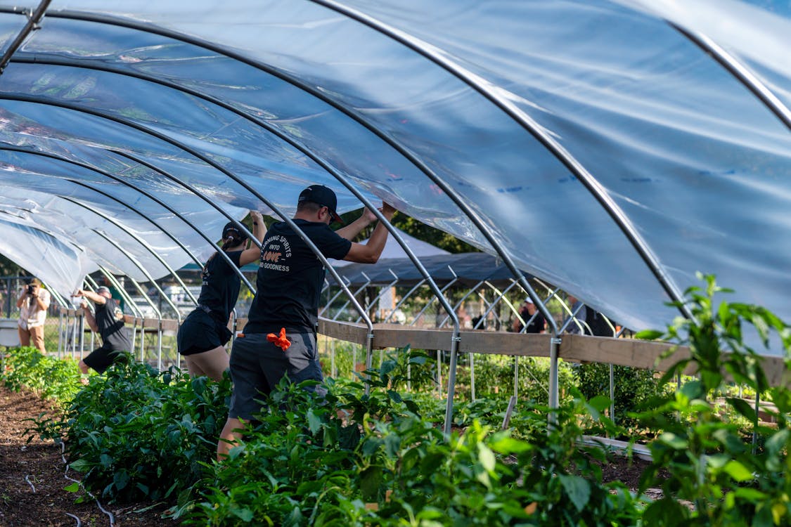 Urban Farming