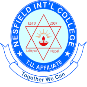 Nesfield International College Logo 