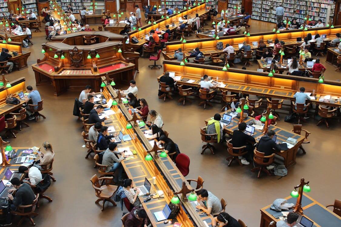 Student Studying in Library 