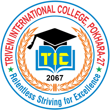 Triveni International College Logo 