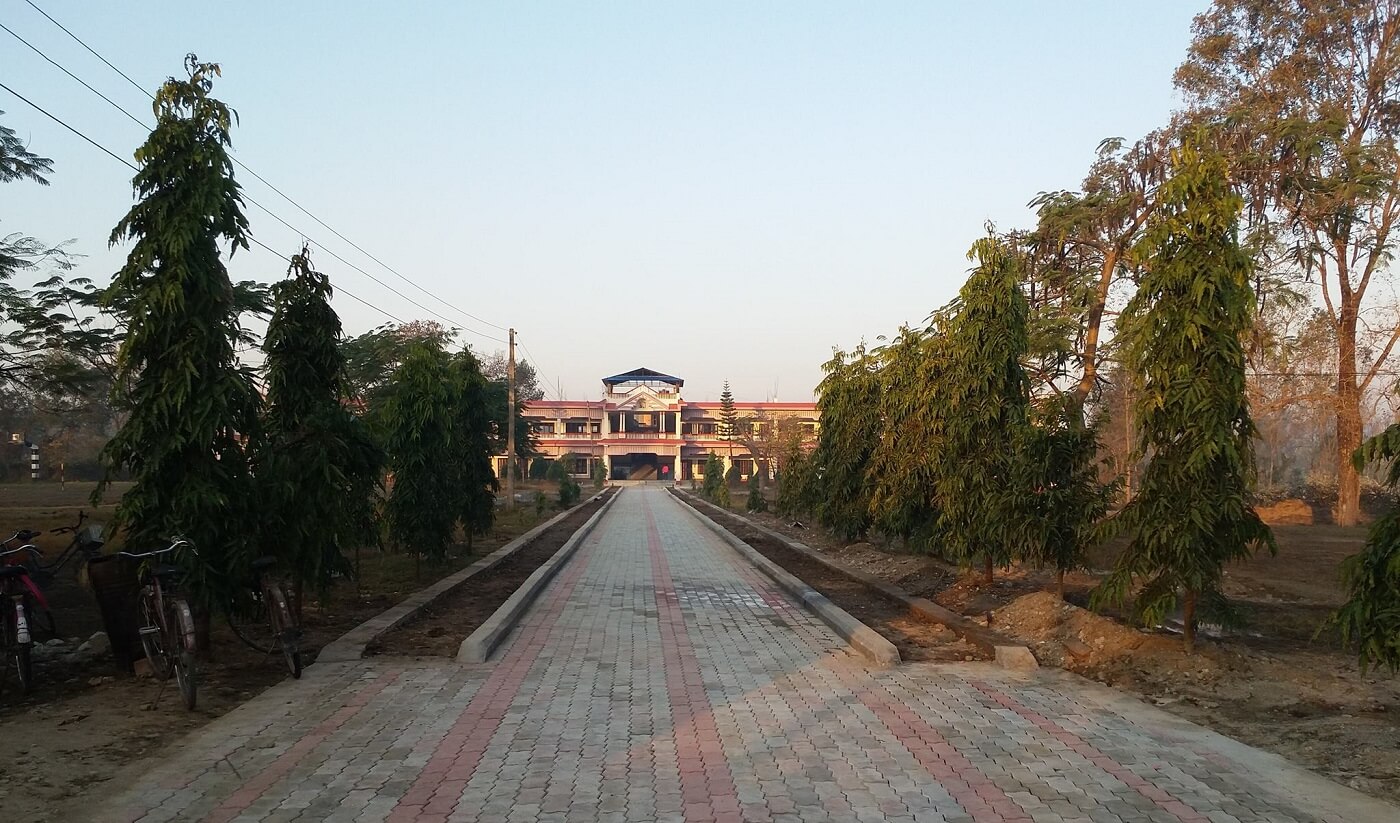 Pathari Multiple Campus, Morang, Building